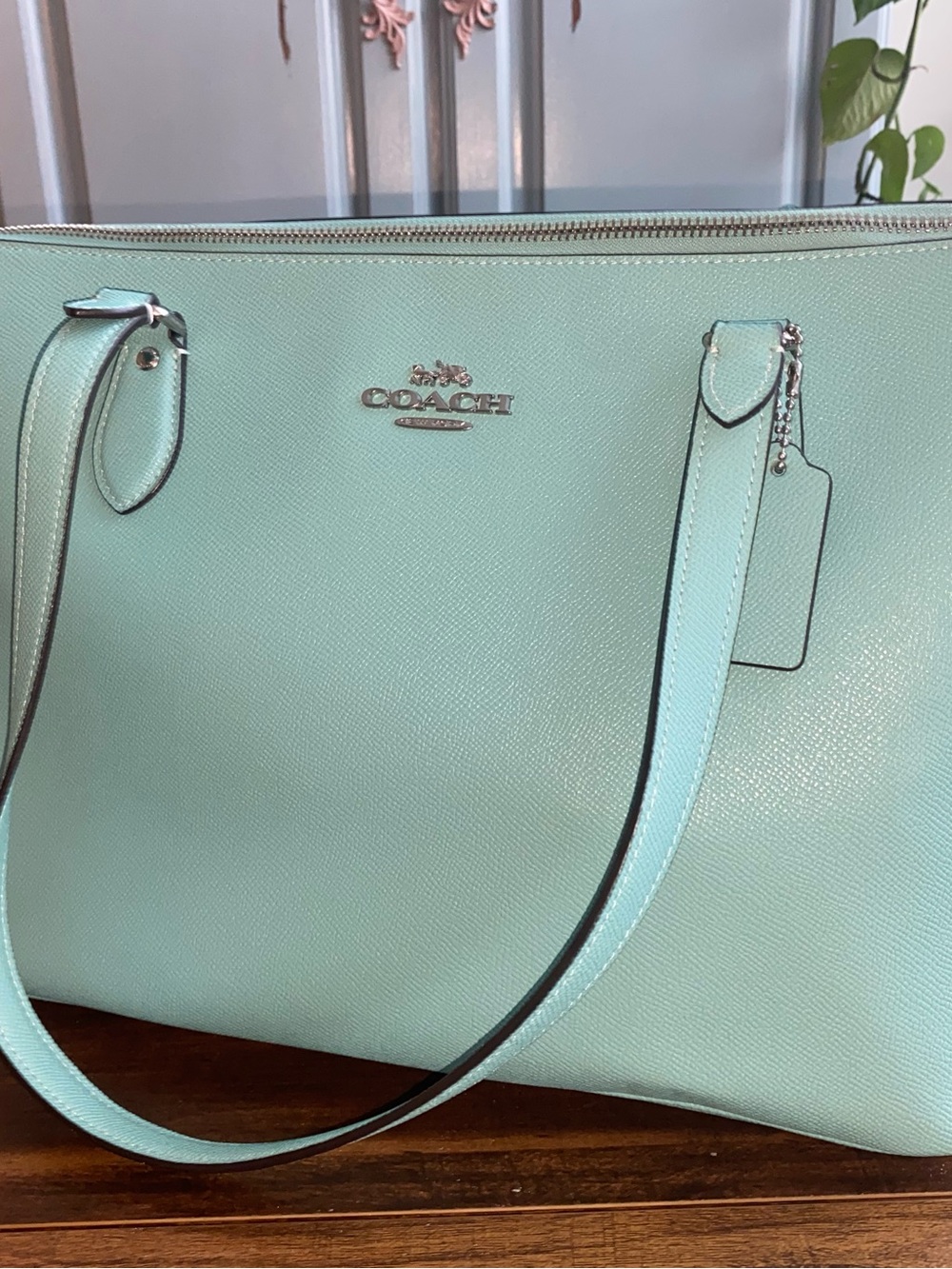 Coach Leather Tote Bag in Mint green/blue